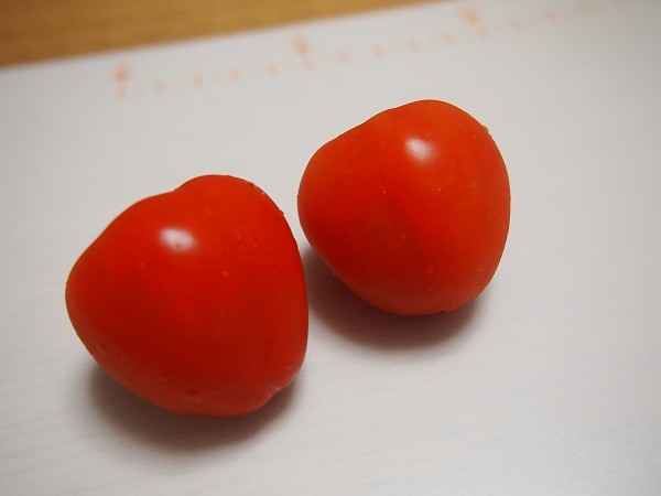 完熟したミニトマト