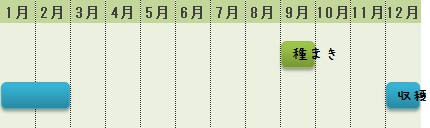 コールラビの栽培カレンダー